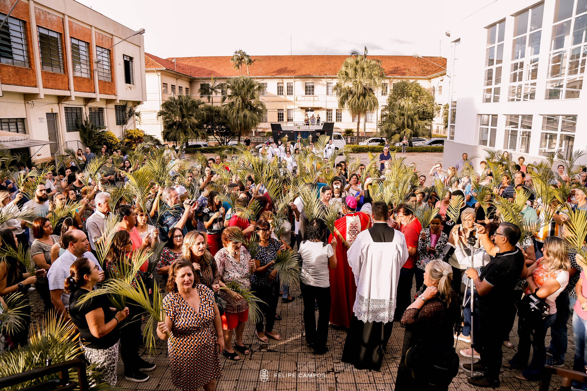 Domingo de Ramos - Vicariato Nossa Senhora do Patrocínio