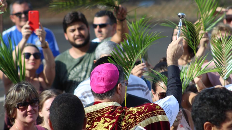 Momento Catequético:  Domingo de Ramos