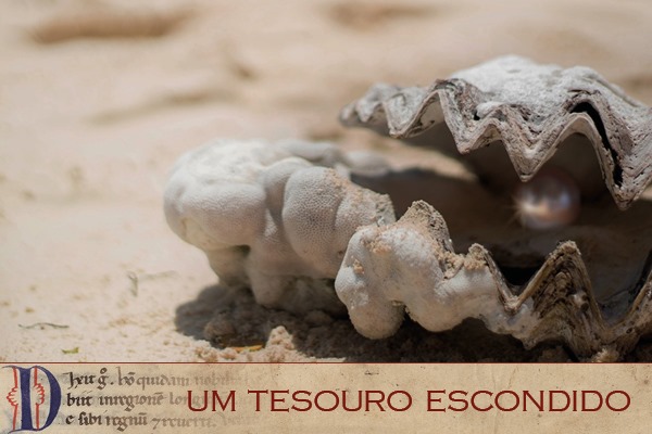 Momento Catequético: Quarta-feira da 17ª Semana do Tempo Comum
