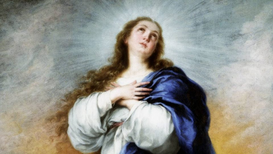 Imaculada Conceição de Nossa Senhora . Solenidade
