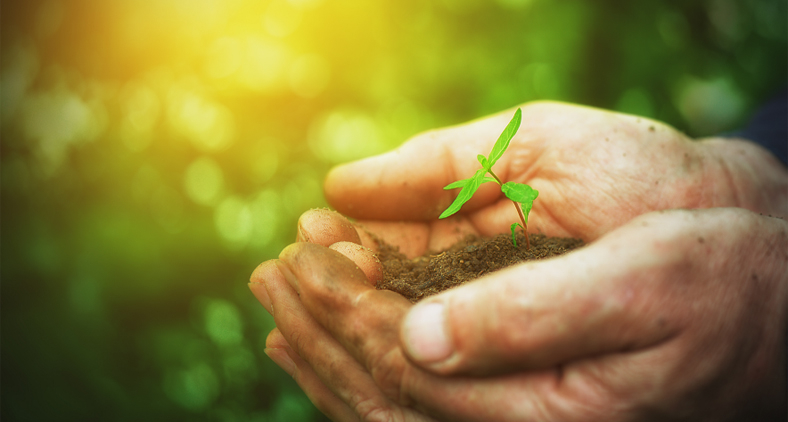 Um caminho de ecologia integral em todos os níveis da sociedade