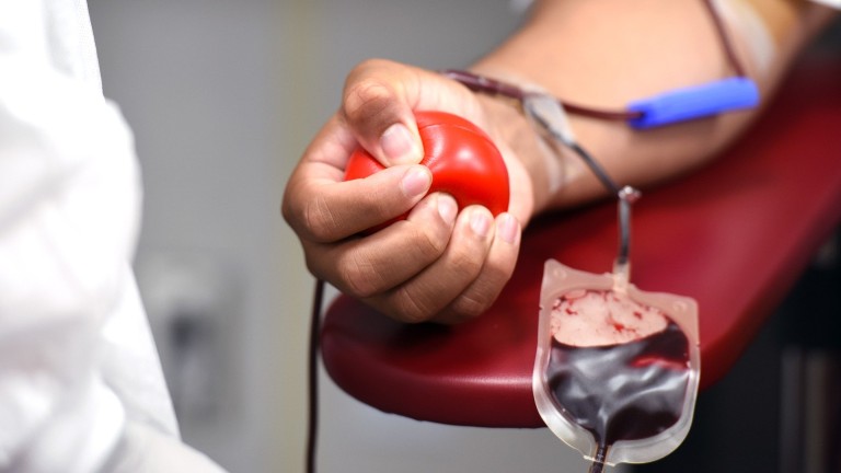 Papa Francisco recorda a generosidade dos Doadores de sangue