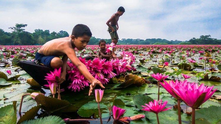 Plataforma Laudato si’: Deus escolhe os pequenos para mudar o mundo