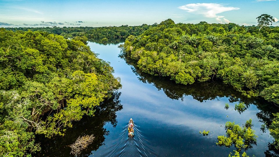 Querida Amazônia: uma carta de amor escrita para e com o Povo de Deus