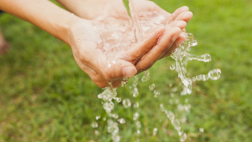 CURSO DE EXTENSÃO INTERUNIVERSIDADES PROJETO “ÁGUA FONTE DE VIDA” PASTORAL DA ECOLOGIA INTEGRAL DO REGIONAL SUL 1 DA CNBB