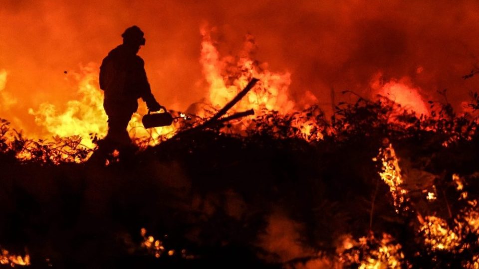 Dia da Criação: Papa convida o povo de Deus a defender o meio ambiente