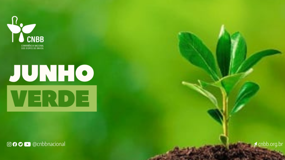 Dia Mundial do Meio Ambiente: CNBB relembra importância da “Campanha Junho Verde”