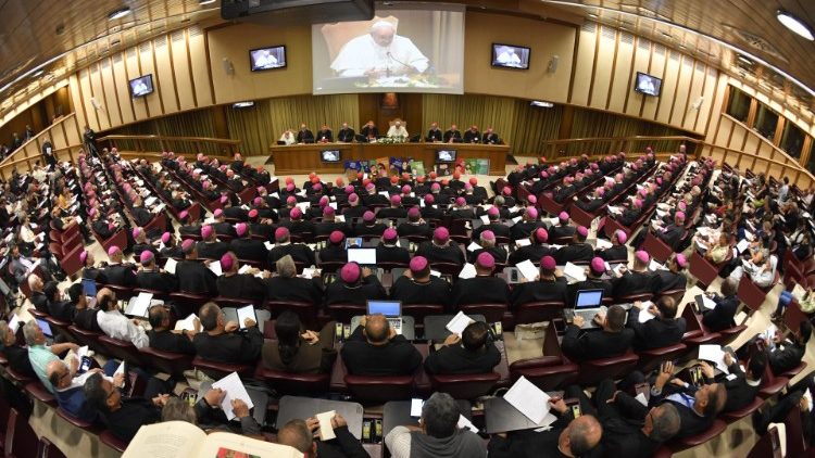 13 BRASILEIROS, CINCO BISPOS ELEITOS NA 60ª ASSEMBLEIA GERAL E O PRESIDENTE DA CNBB, PARTICIPARÃO DA ETAPA UNIVERSAL DO SÍNODO