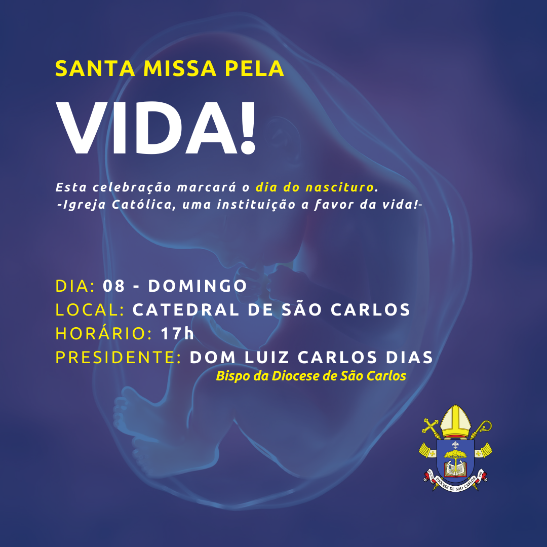 para feed