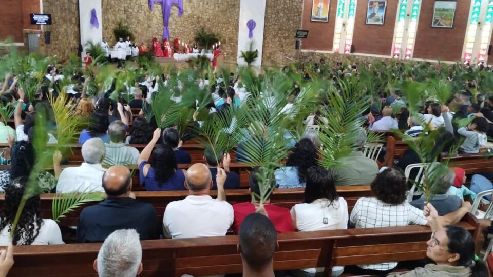 Em concelebração no Domingo de Ramos, fiéis lotam Igreja Matriz de Américo Brasiliense
