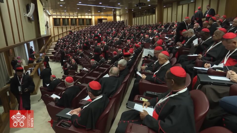 Décima Congregação Geral: os 133 cardeais eleitores já estão em Roma