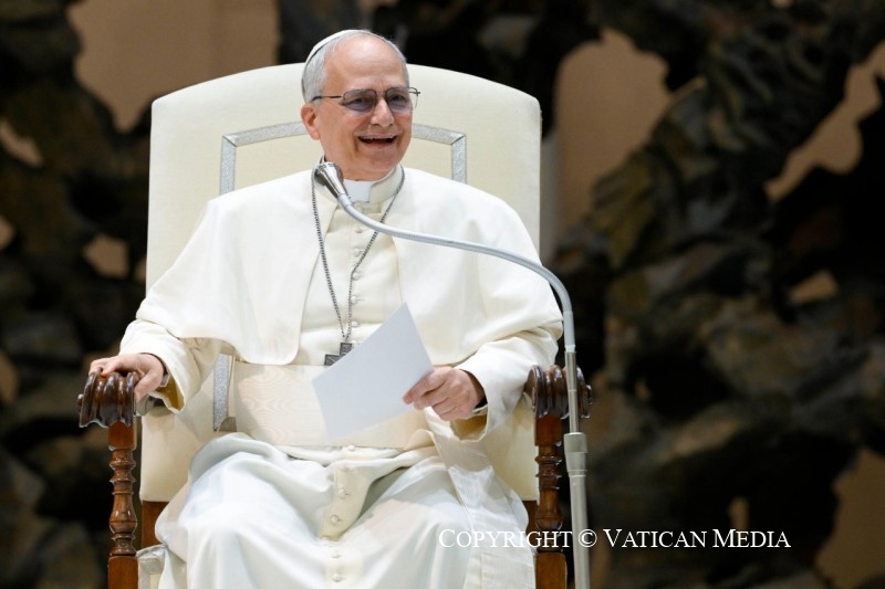 Papa Leão XIV agradece aos jornalistas pelo “serviço à verdade”