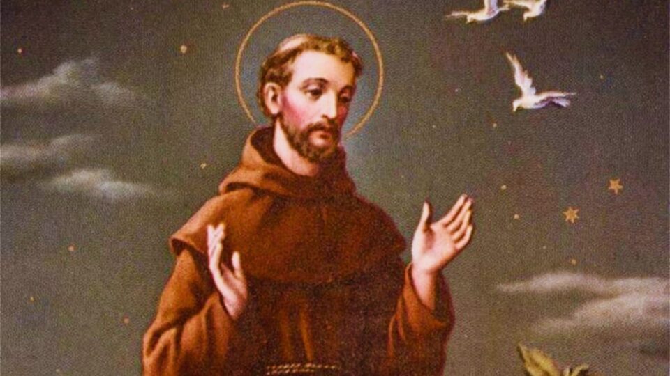 Festividades de São Francisco de Assis na Diocese